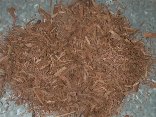 sedir ağacı talaşı